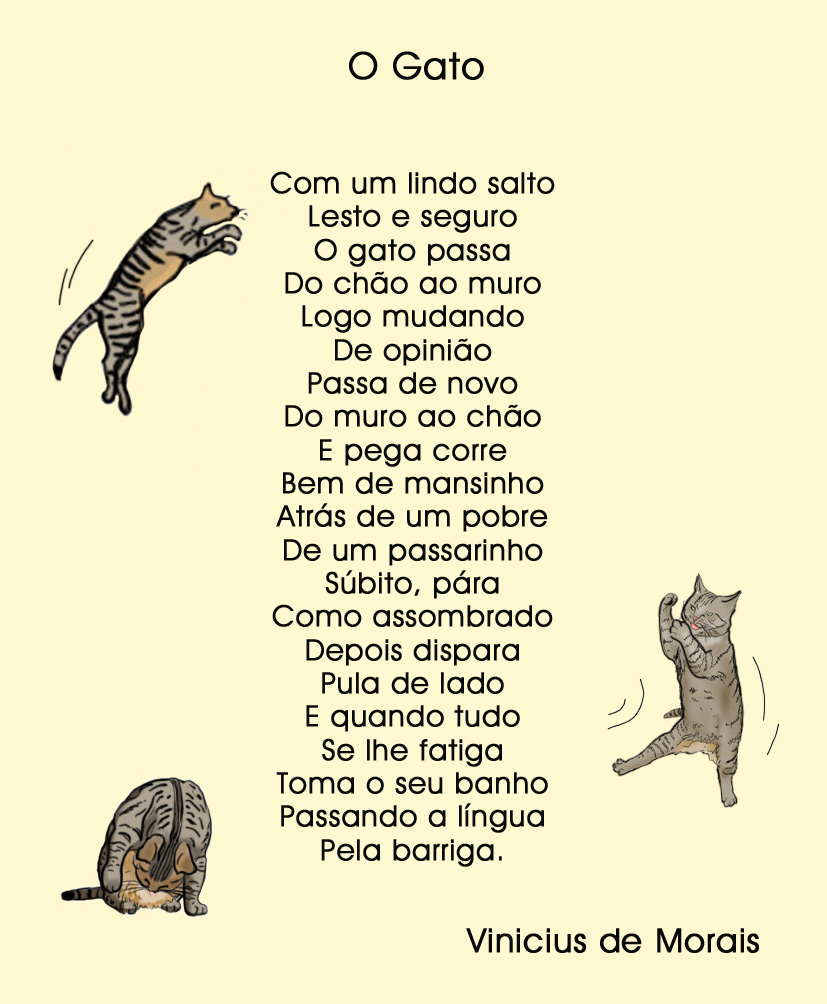 O gato e a poesia – Le chat et la poésie de Vinicius de Moraes ...